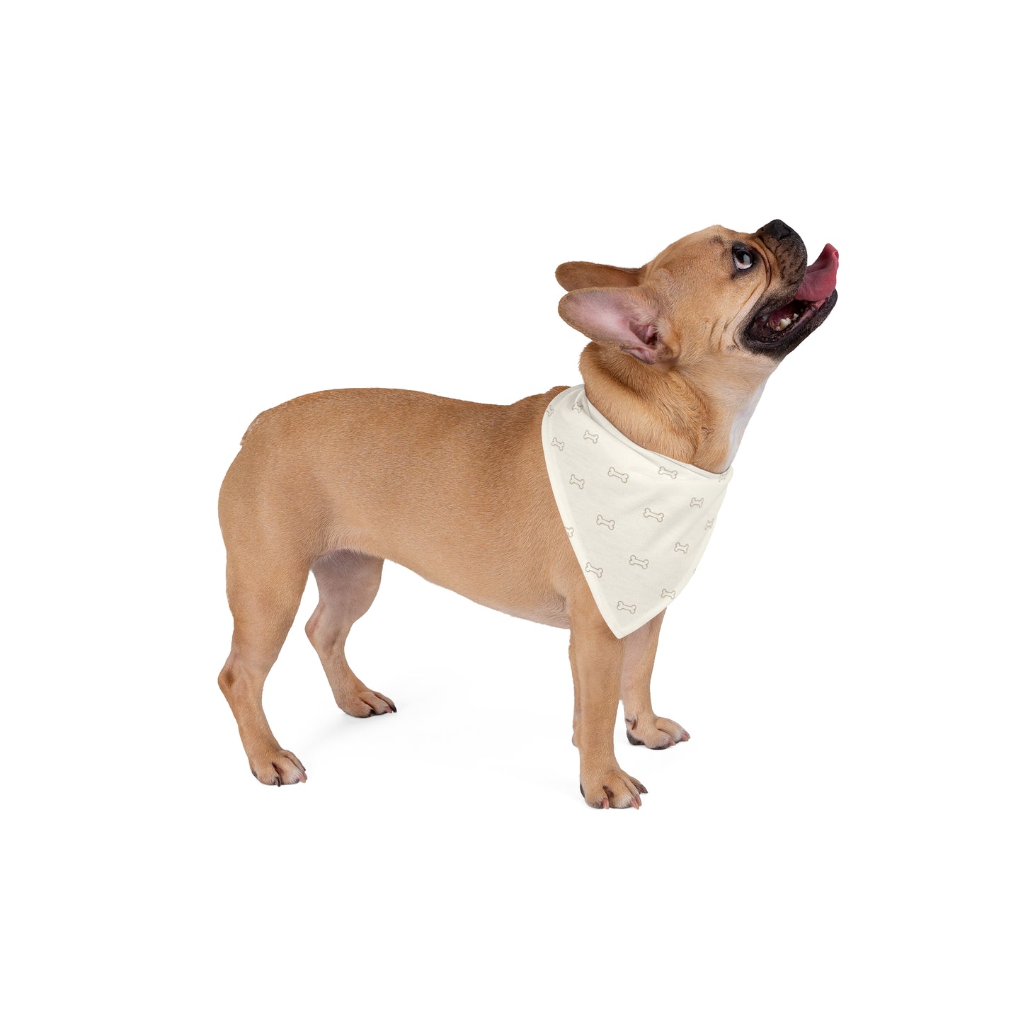 Neutral Bone Print Pet Bandana — Lightweight Triangle Scarf for Dogs & Cats