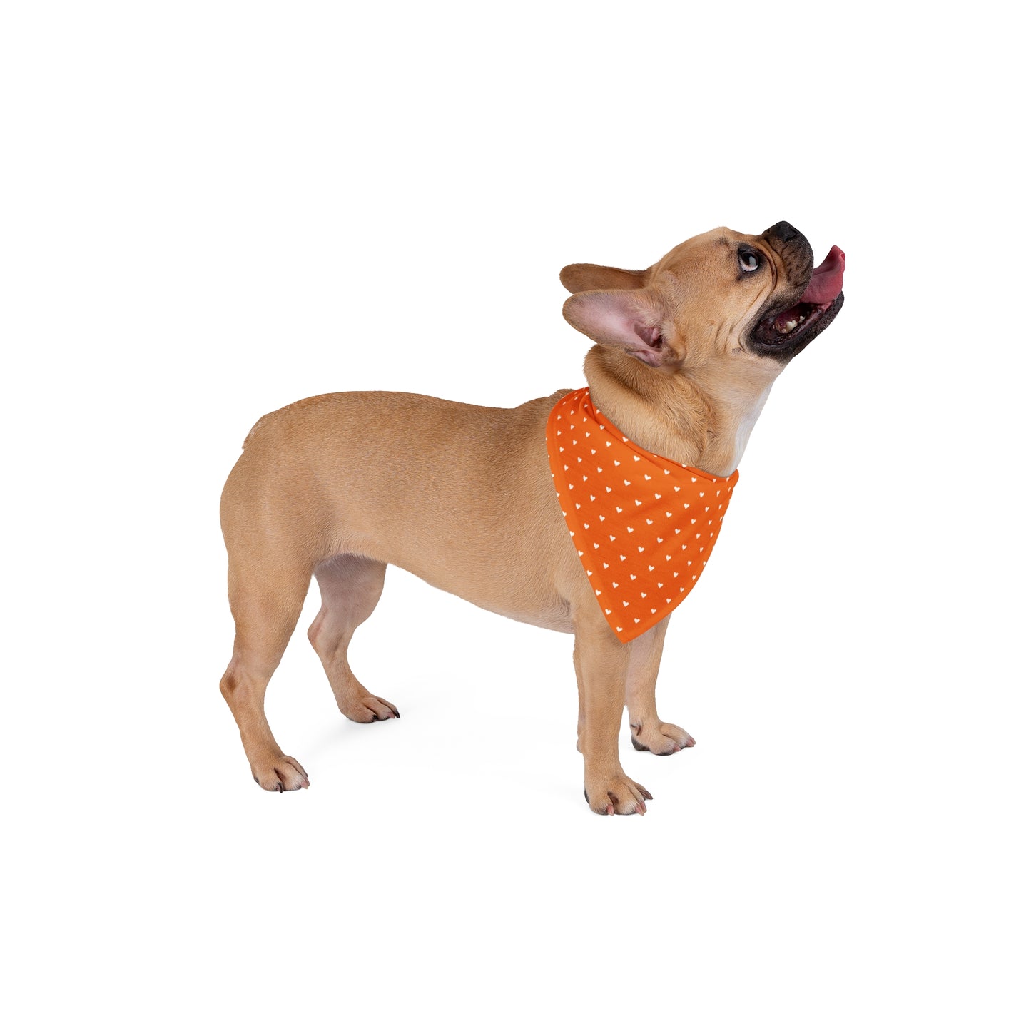 Heart Print Pet Bandana — Orange/Pink Triangle Bandana for Dogs & Cats