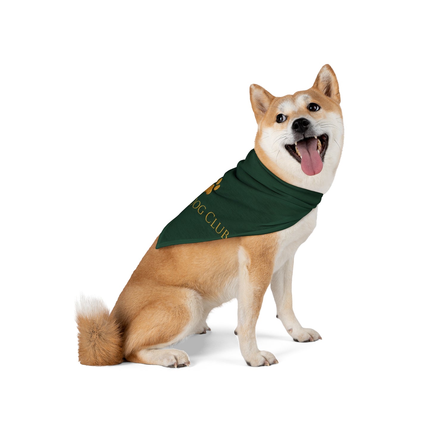 Good Dog Club Pet Bandana — Green Paw Print Dog Scarf