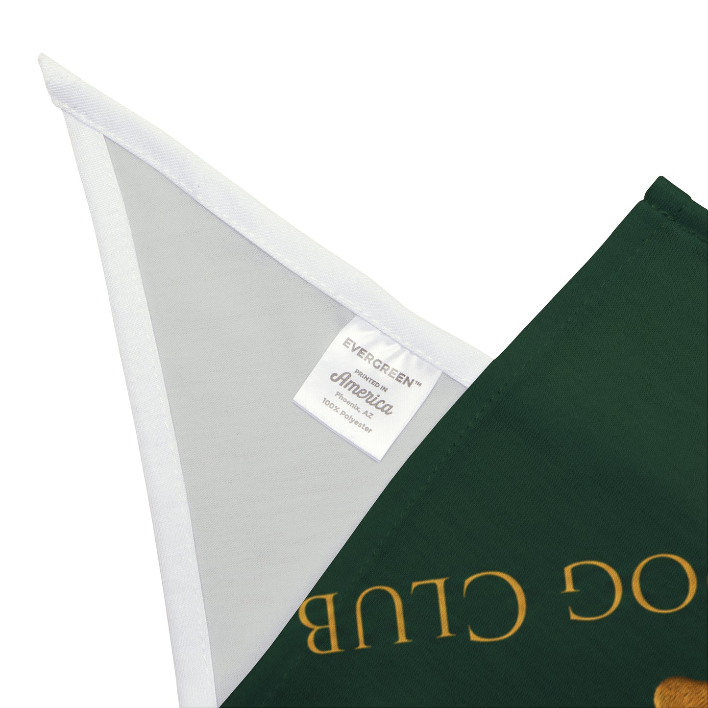 Good Dog Club Pet Bandana — Green Paw Print Dog Scarf