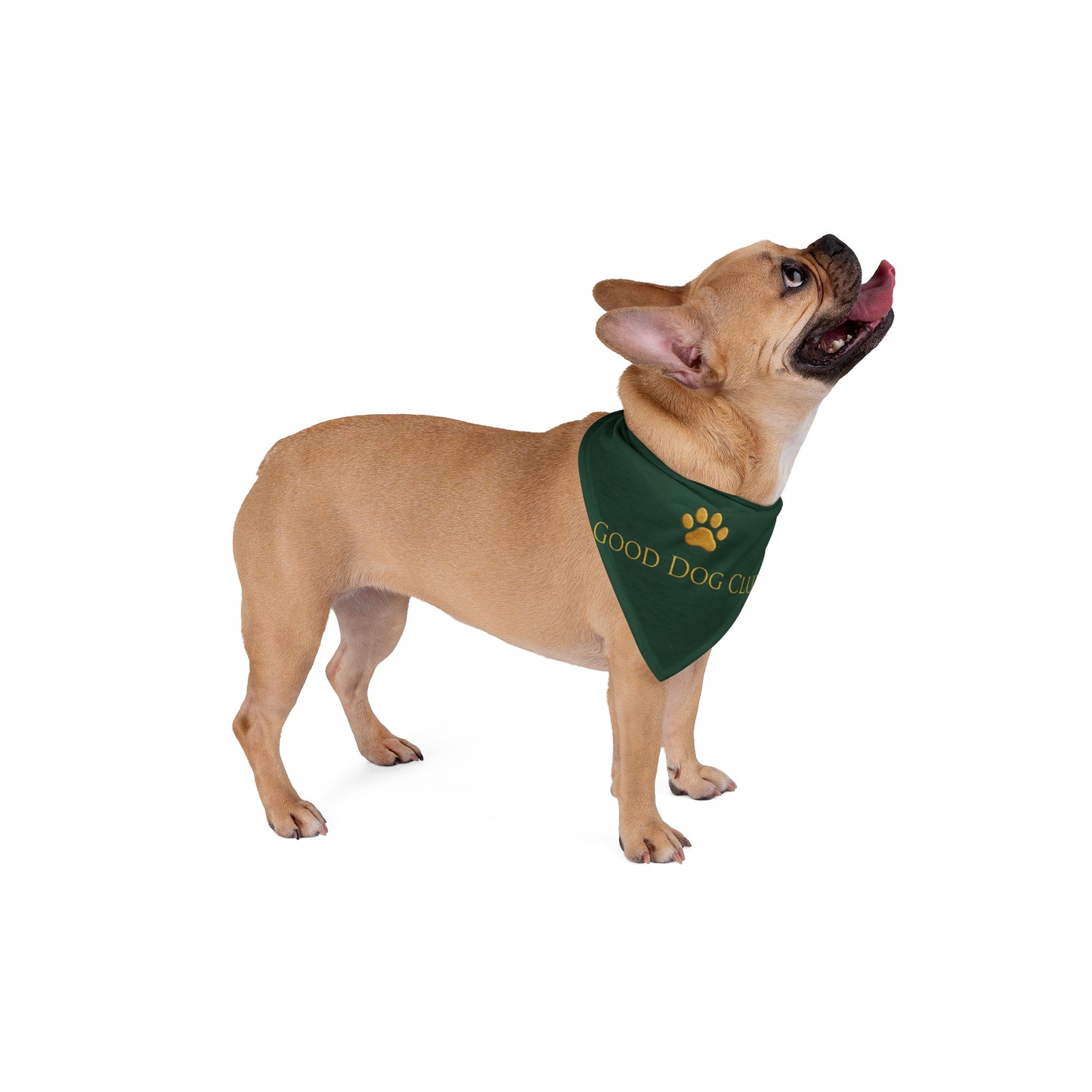 Good Dog Club Pet Bandana — Green Paw Print Dog Scarf